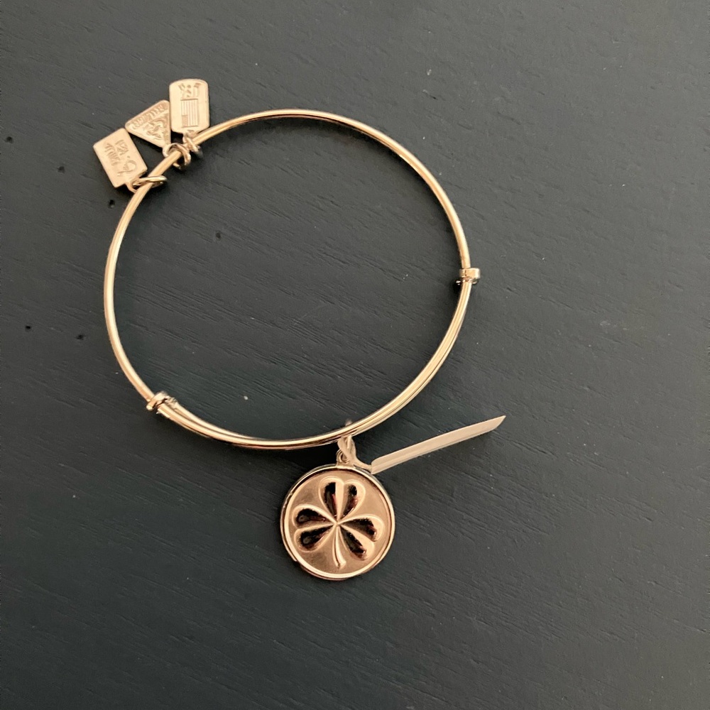 SilverCharm Bracelet with Circular Pendant shamrock Charms